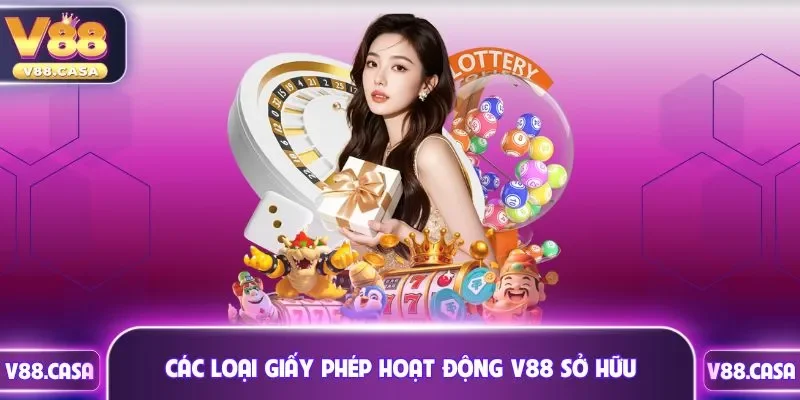 Các loại giấy phép hoạt động V88 sở hữu